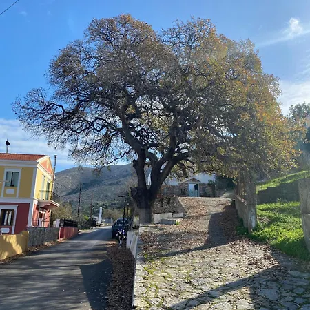 Panorama *